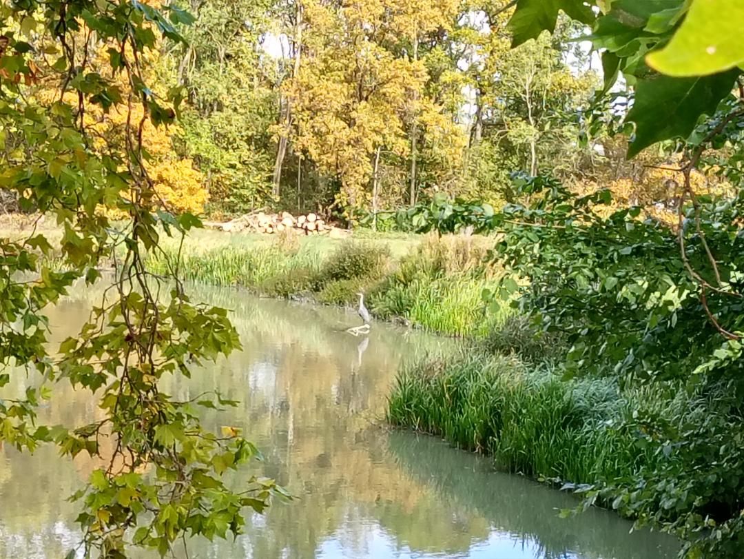 heron M Hall